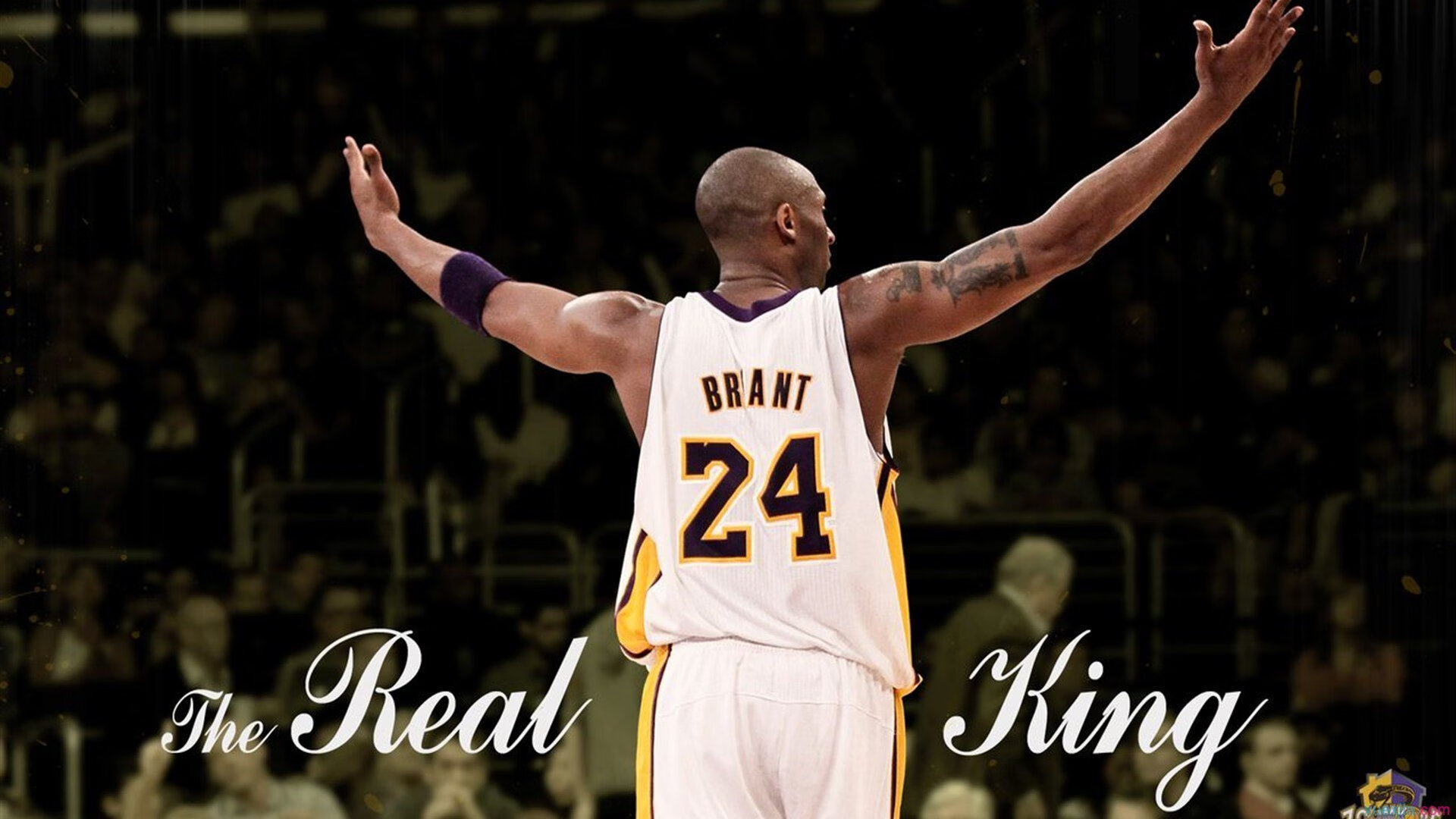 杨瀚森个人技术提升获得专家称赞，杨瀚宇是谁